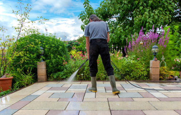 Best Sidewalk and Walkway Cleaning  in Landmk, AR